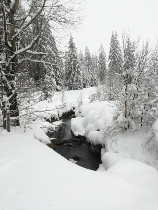 Au Coin Des Fagnes Sourbrodt