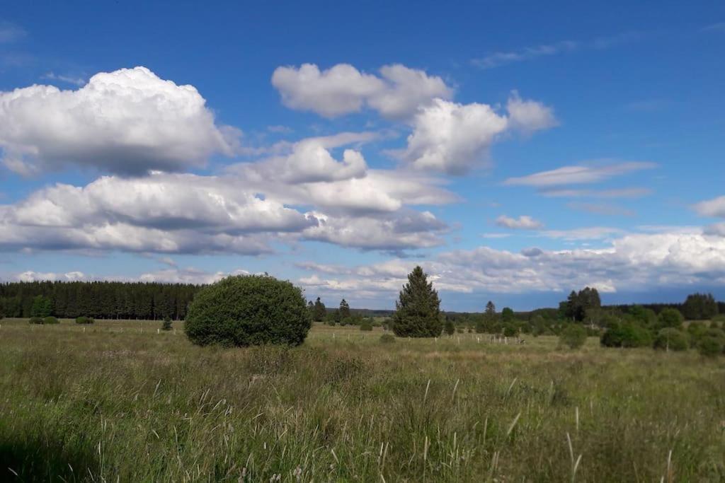 Au Coin Des Fagnes Appartement