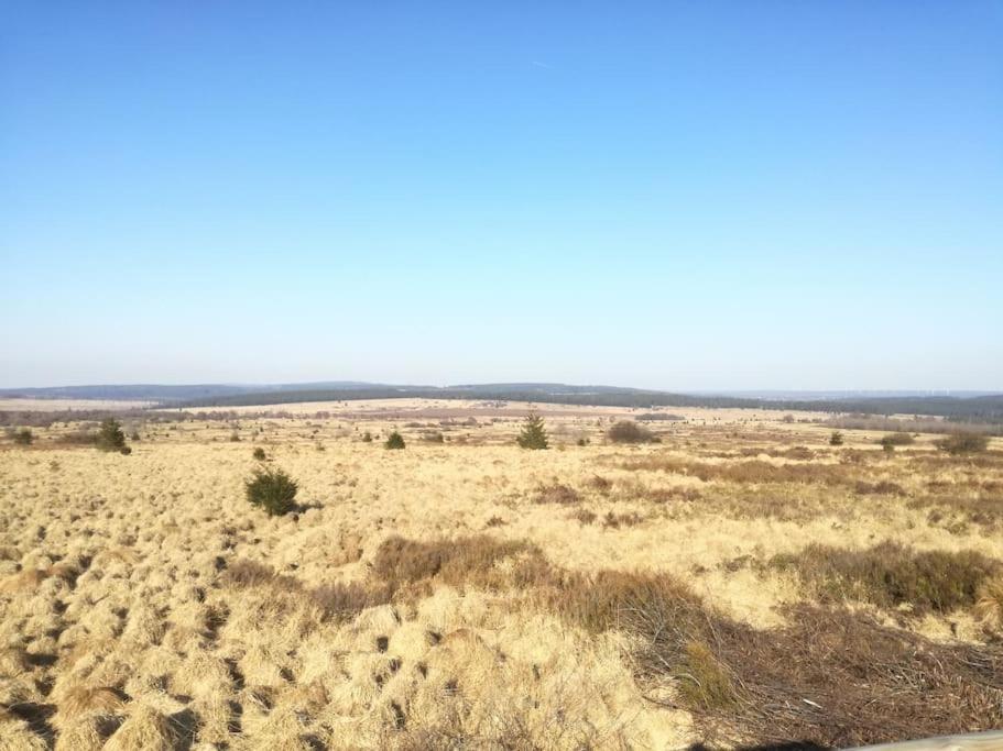 Au Coin Des Fagnes