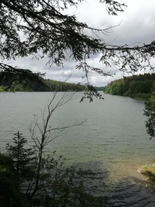 Au Coin Des Fagnes * Sourbrodt