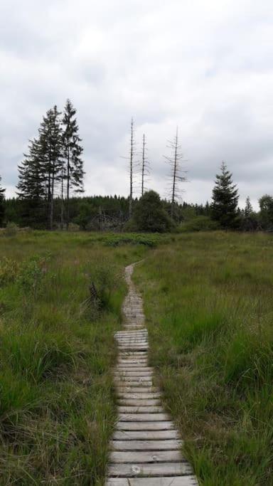 Au Coin Des Fagnes Sourbrodt