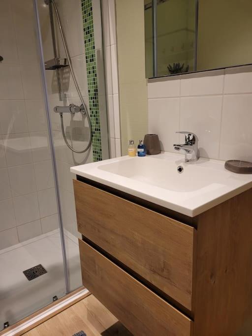 Au Coin Des Fagnes Apartment Sourbrodt